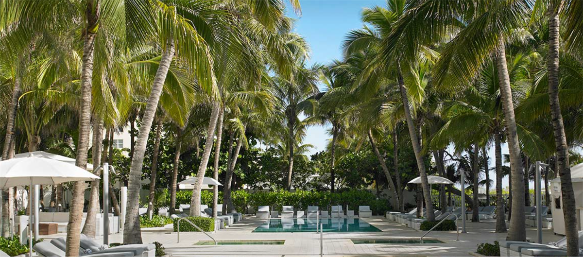 Discop Miami offers early bird registration at the Grand Beach Hotel